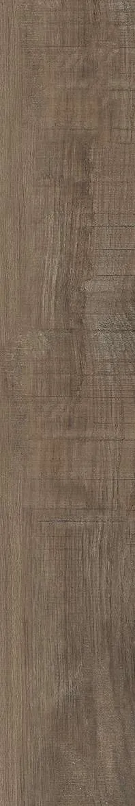 AZ14 GC15901