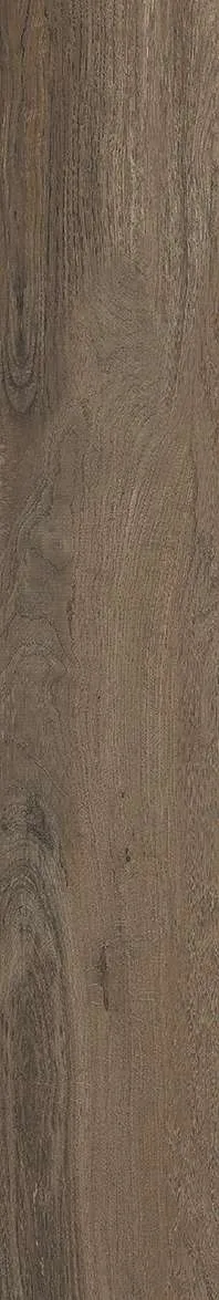 AZ14 GC15901