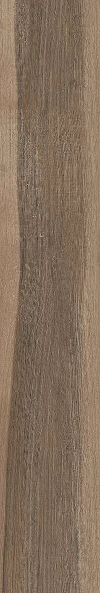 AZ14 GC15903