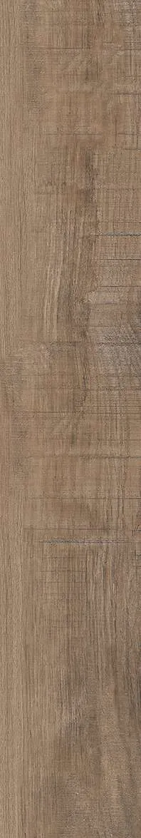 AZ14 GC15903