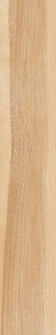 AZ14 GC15904