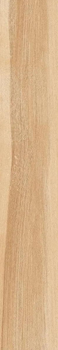 AZ14 GC15904