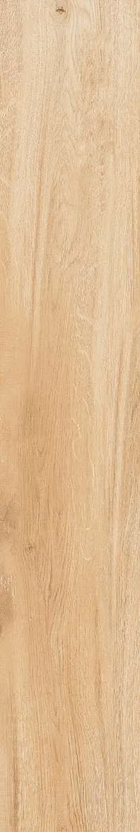 AZ14 GC15904