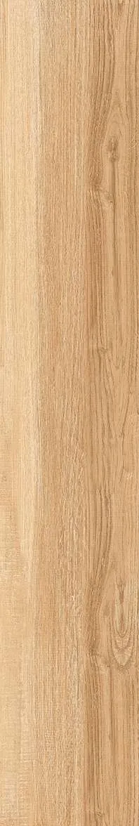 AZ14 GC15904