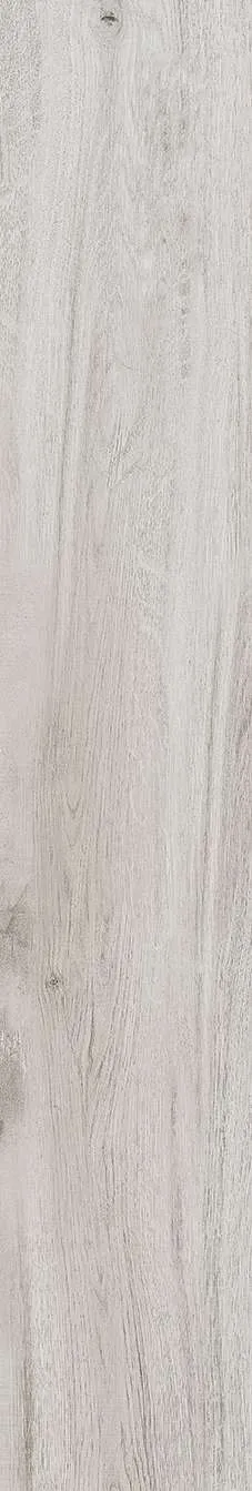 AZ14 GC15905