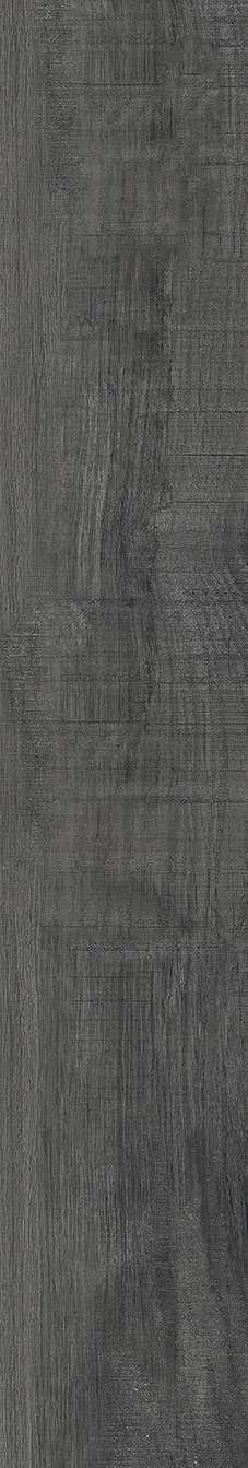 AZ14 GC15906