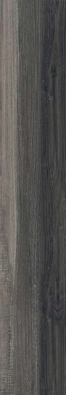 AZ14 GC15906
