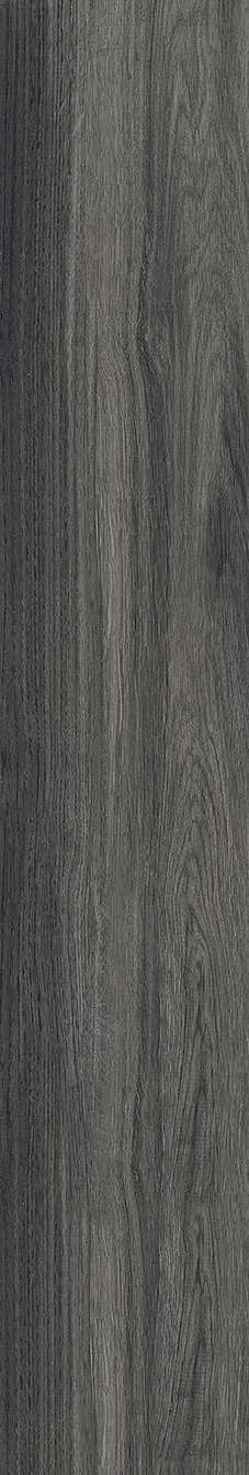 AZ14 GC15906