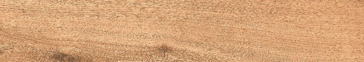CA10-GK15902