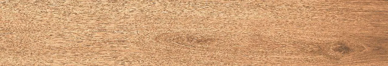 CA10-GK15902