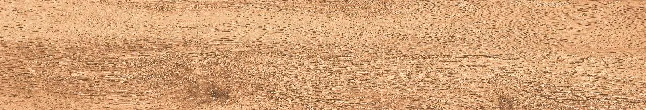 CA10-GK15902