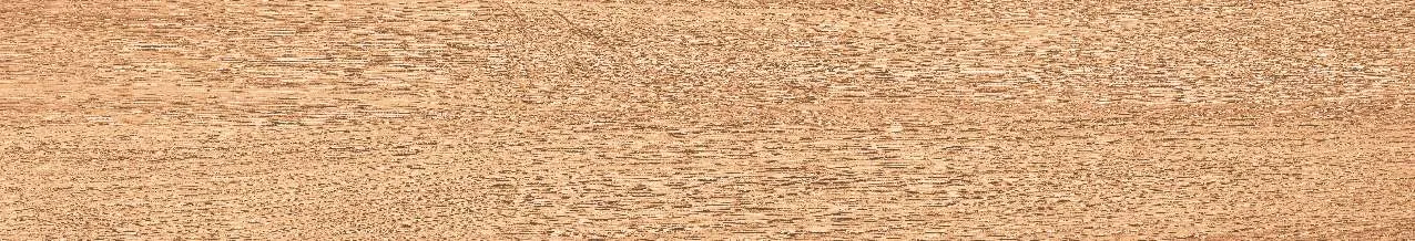 CA10-GK15902