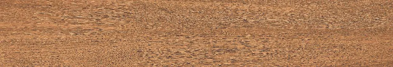 CA10-GK15903