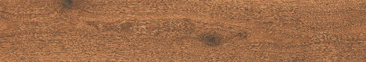 CA10-GK15904