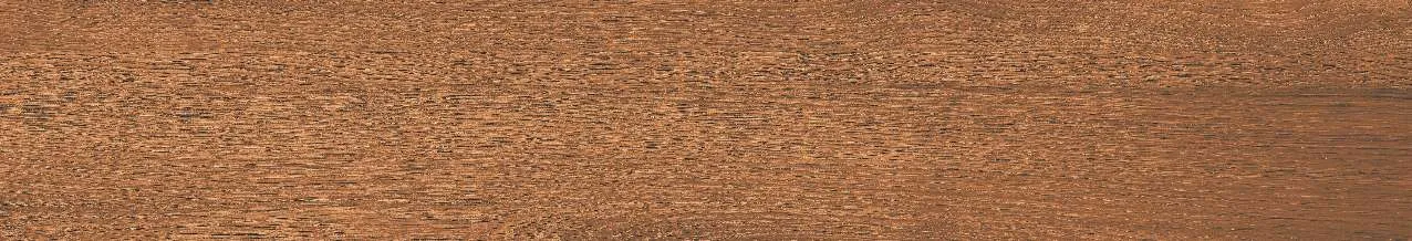 CA10-GK15904