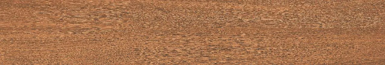 CA10-GK15904