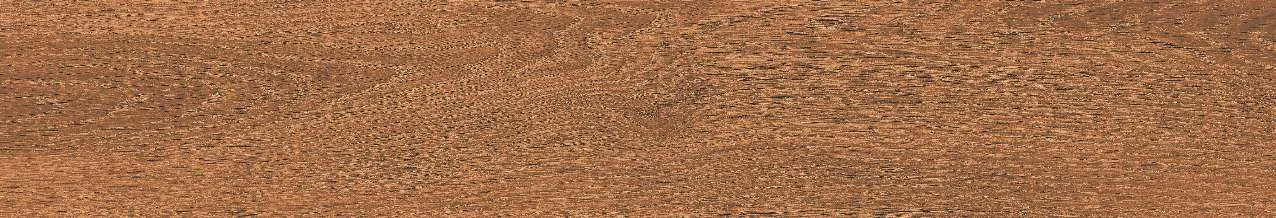 CA10-GK15904