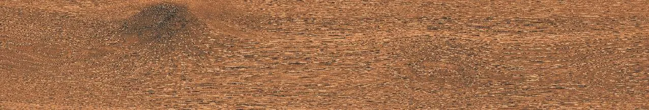 CA10-GK15904
