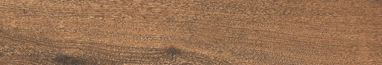CA10-GK15905