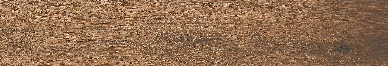CA10-GK15905