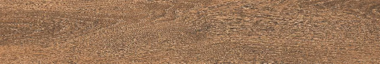 CA10-GK15905
