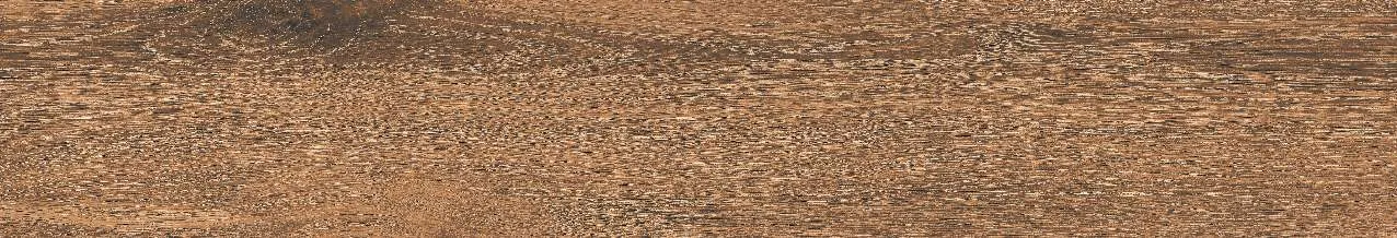 CA10-GK15905