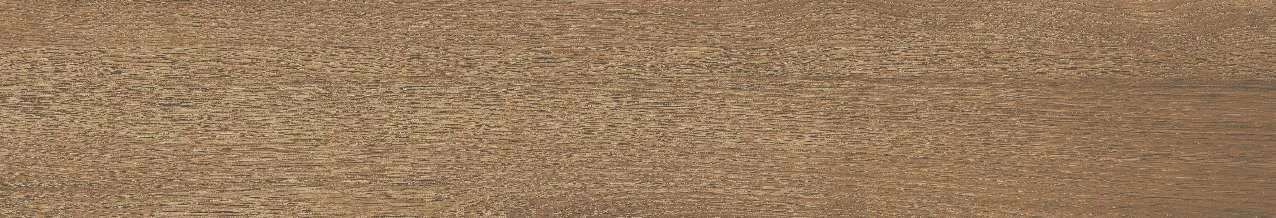 CA10-GK15906
