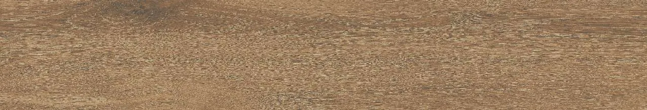 CA10-GK15906