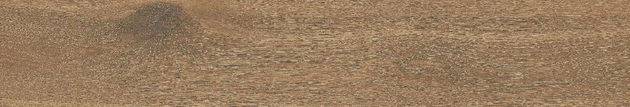 CA10-GK15906