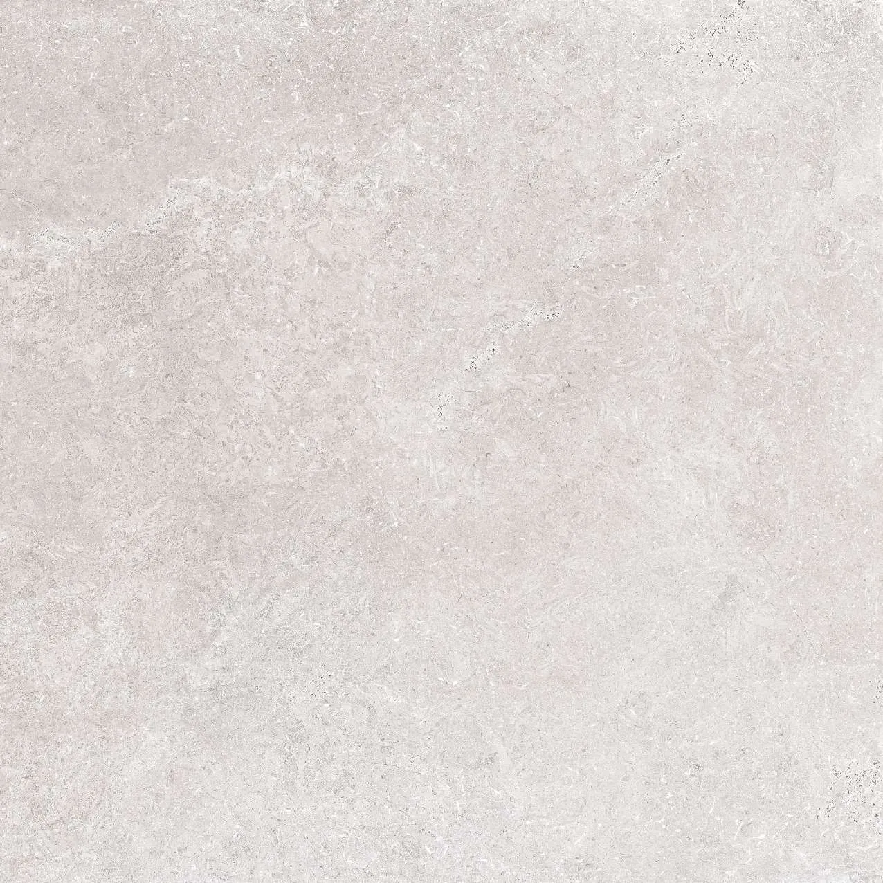 CA5-GM6601