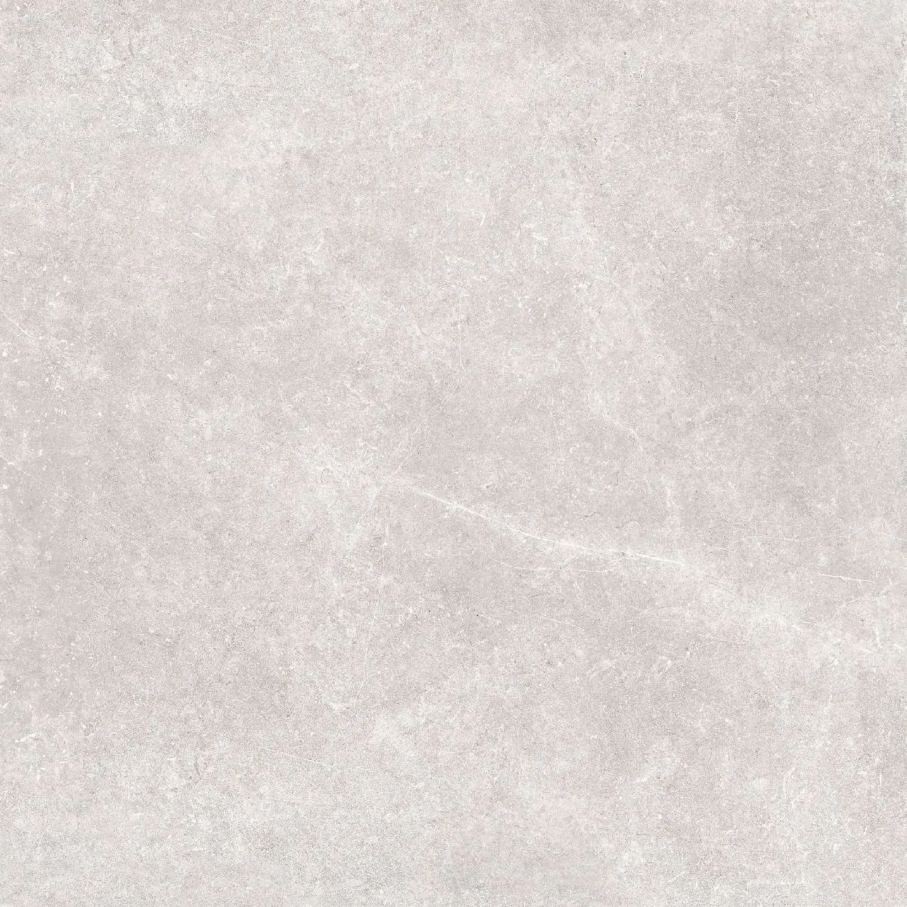 CA5-GM6601