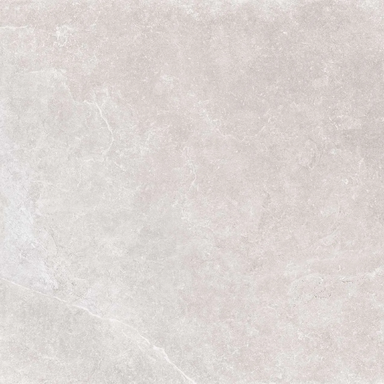 CA5-GM6601