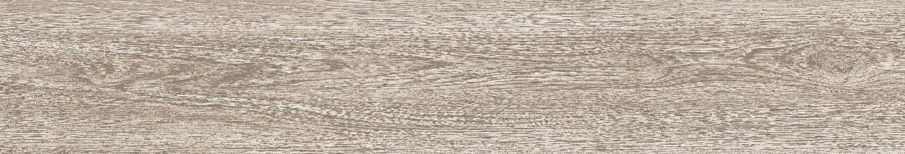 CA9-GK15901