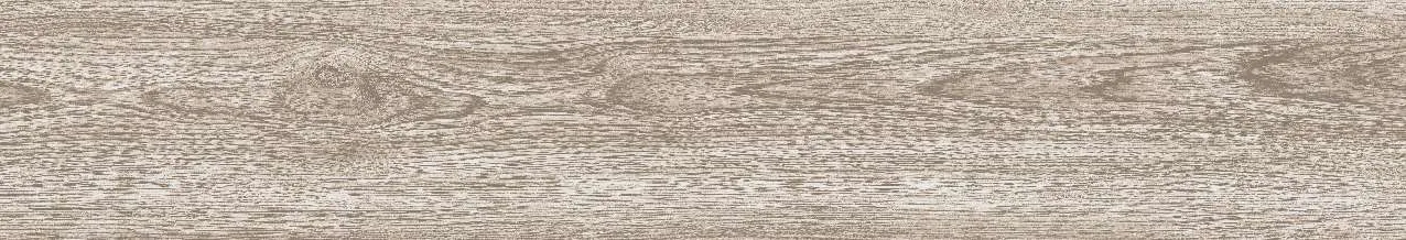 CA9-GK15901