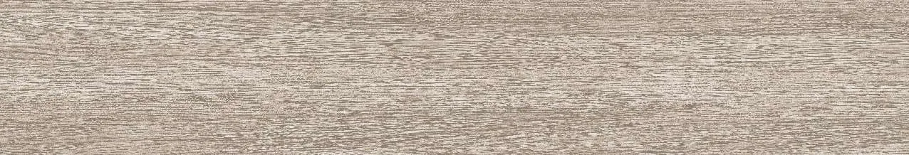 CA9-GK15901