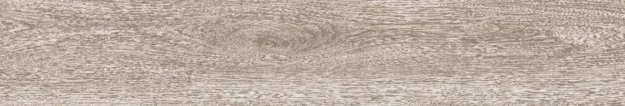 CA9-GK15901