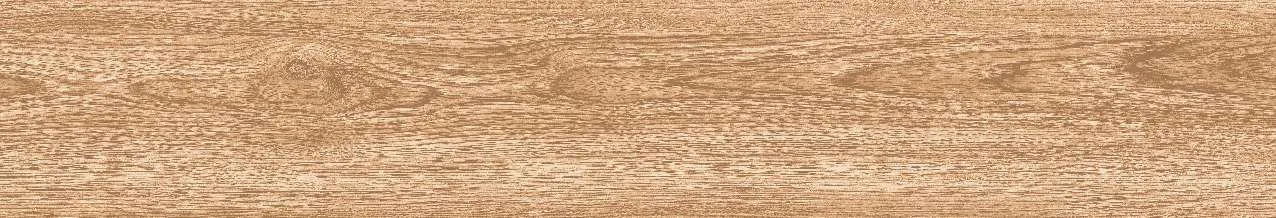 CA9-GK15902