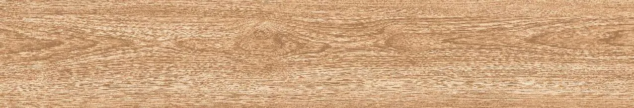 CA9-GK15902