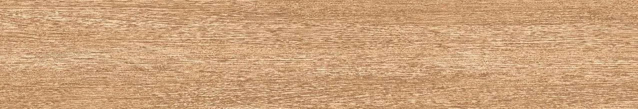 CA9-GK15902