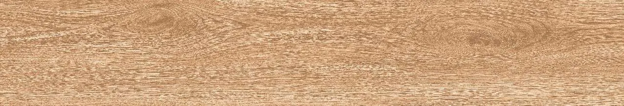 CA9-GK15902