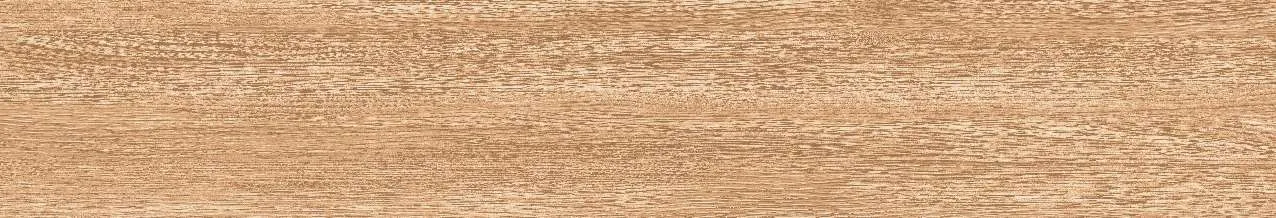 CA9-GK15902
