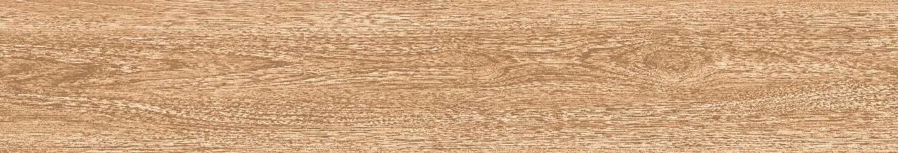 CA9-GK15902