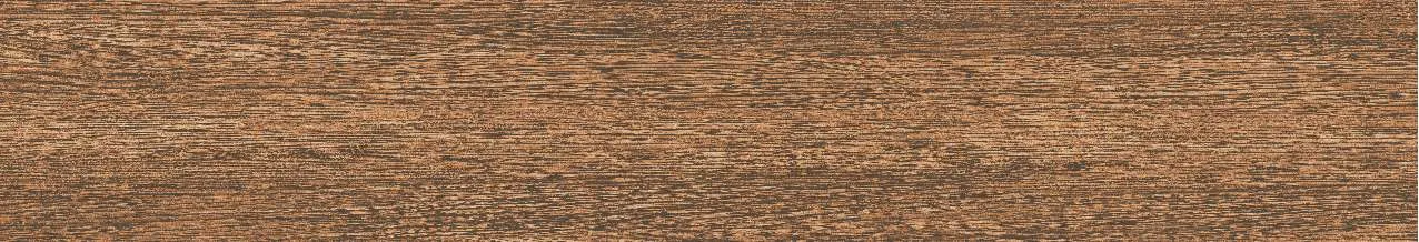 CA9-GK15903