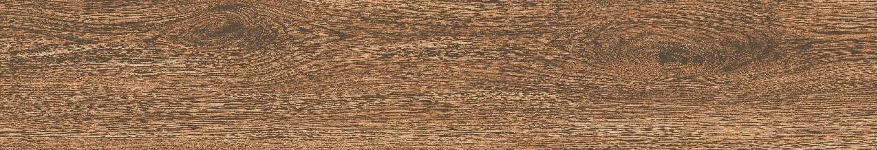 CA9-GK15903