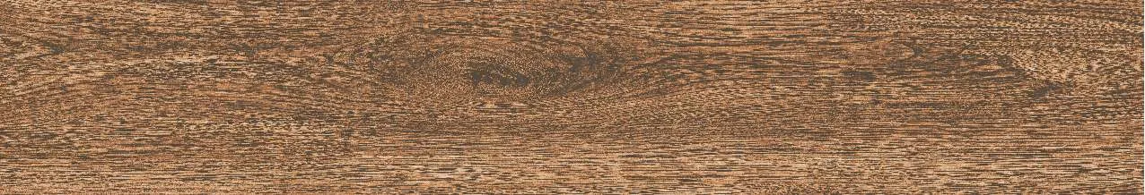 CA9-GK15903
