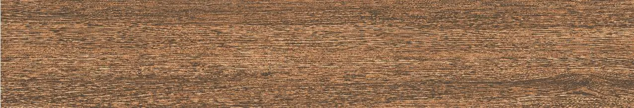 CA9-GK15903
