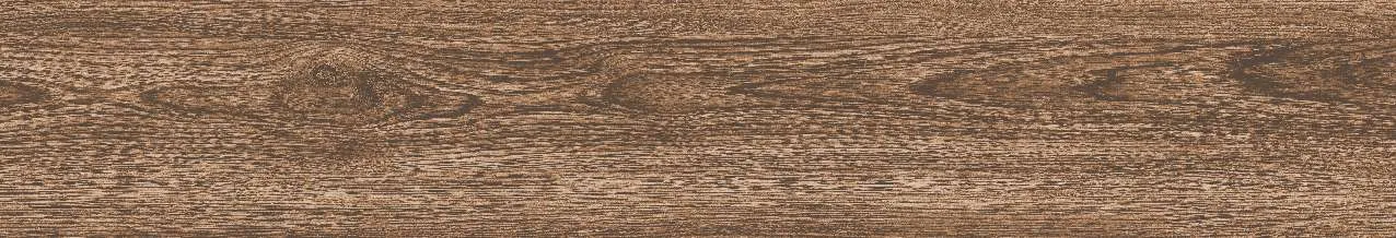 CA9-GK15904