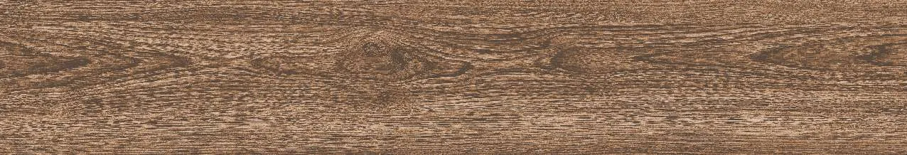 CA9-GK15904