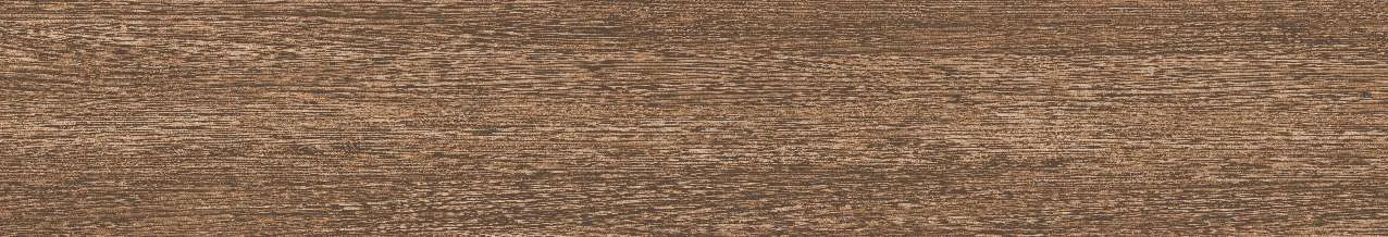 CA9-GK15904
