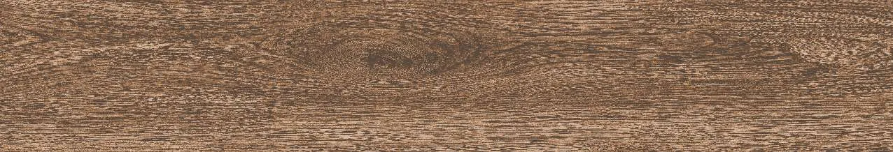 CA9-GK15904